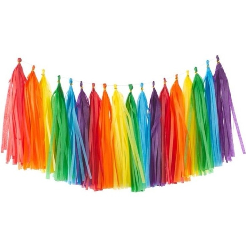 Rainbow Tissue Paper Tassels Colorful Party Tassel Garland Banner Decorations, D